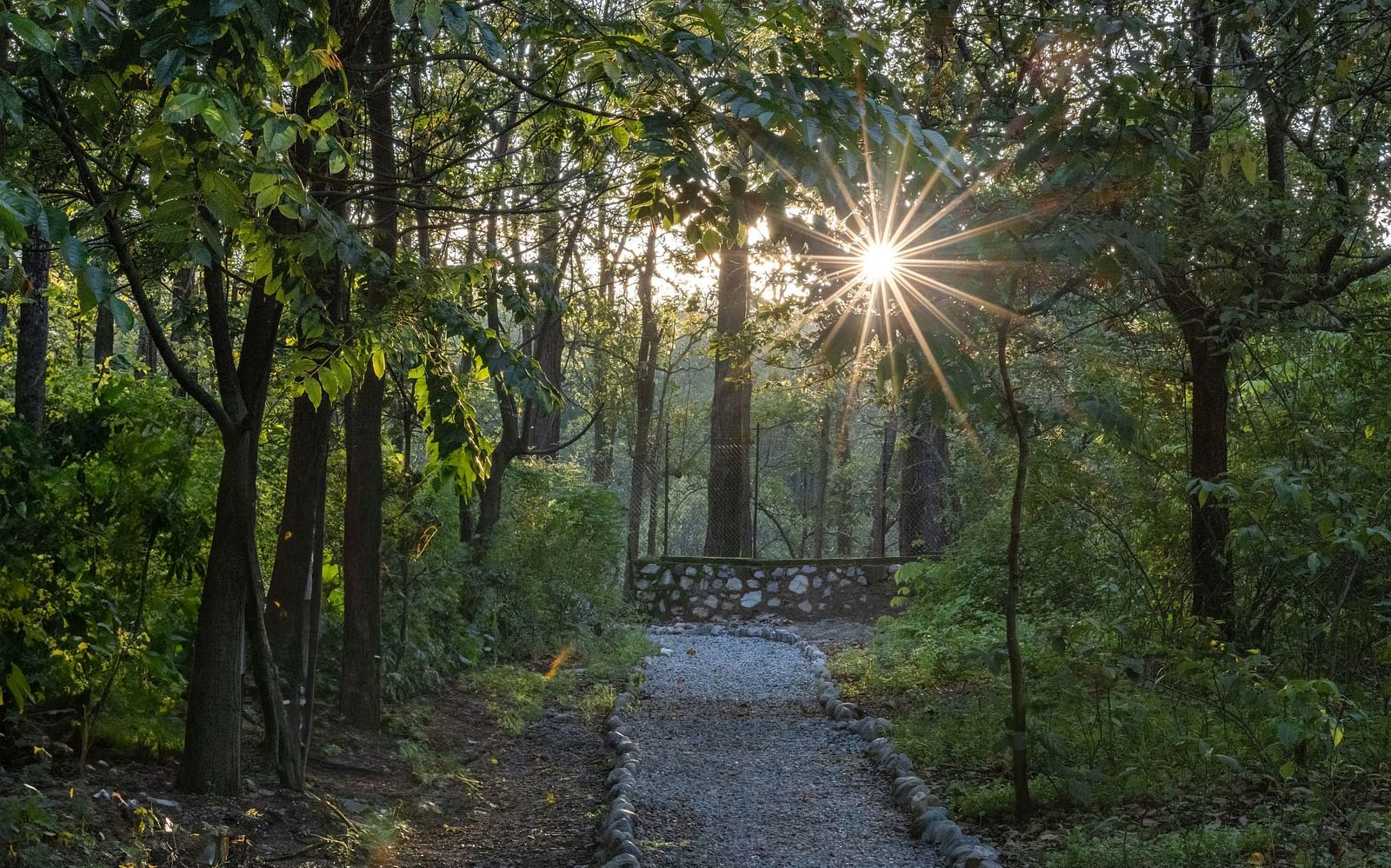 Walking Trail 2 - Gallery